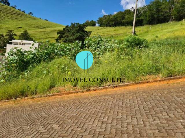 Terreno para Venda em Santa Rita do Sapucaí - 4
